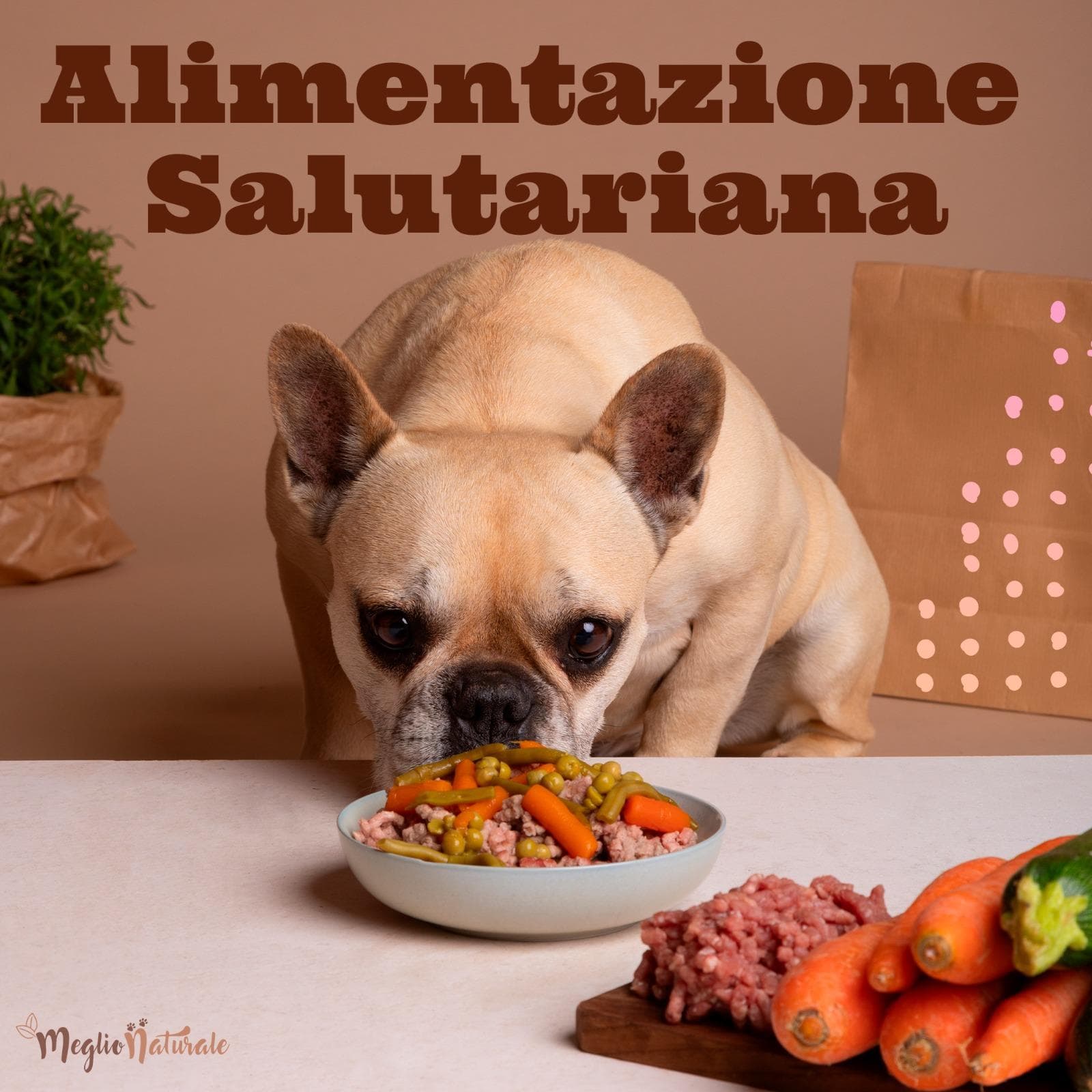 Corso di Alimentazione Naturale Salutariana per Cane e Gatto Corso di Alimentazione Naturale Salutariana per Cane e Gatto