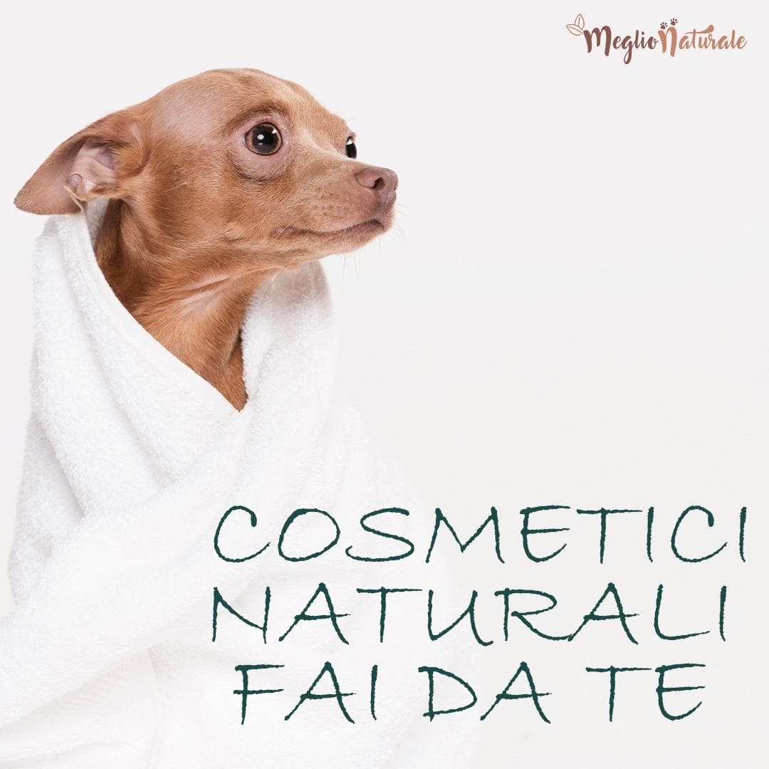 Corso di Autoproduzione Cosmetici Naturali per il Cane e per il Gatto Corso di Autoproduzione Cosmetici Naturali per il Cane e per il Gatto