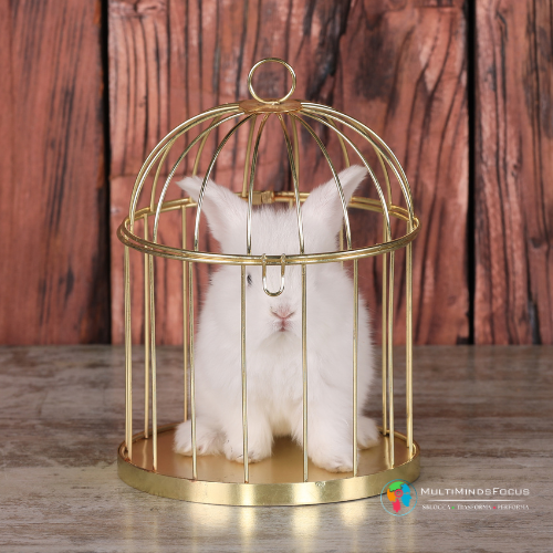 Novità dal coaching Novità dal coaching