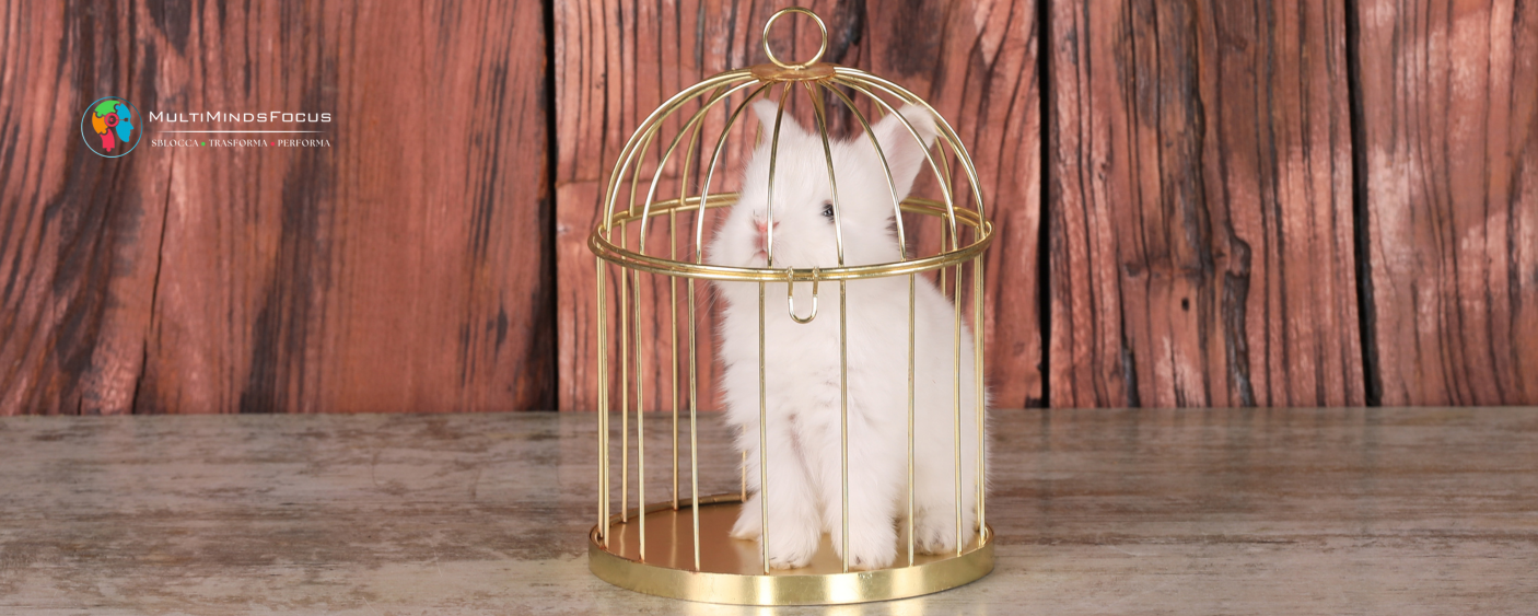 La paura del cambiamento: quando la zona di comfort diventa una gabbia dorata La paura del cambiamento: quando la zona di comfort diventa una gabbia dorata