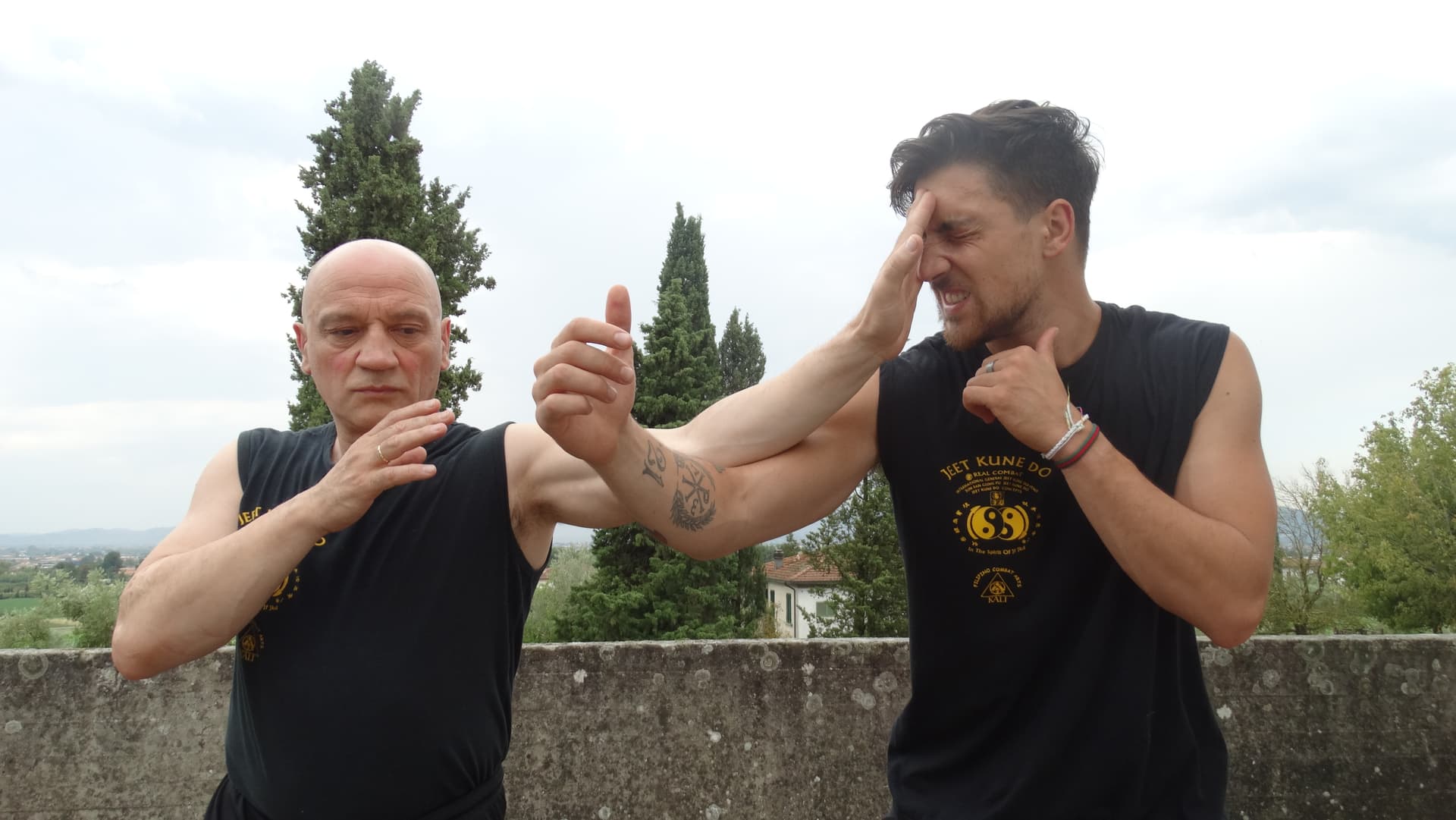 La tradizione delle arti marziali e il Jeet kune do di Bruce Lee Bruce Lee la Storia La tradizione delle arti marziali e il Jeet kune do di Bruce Lee Bruce Lee la Storia