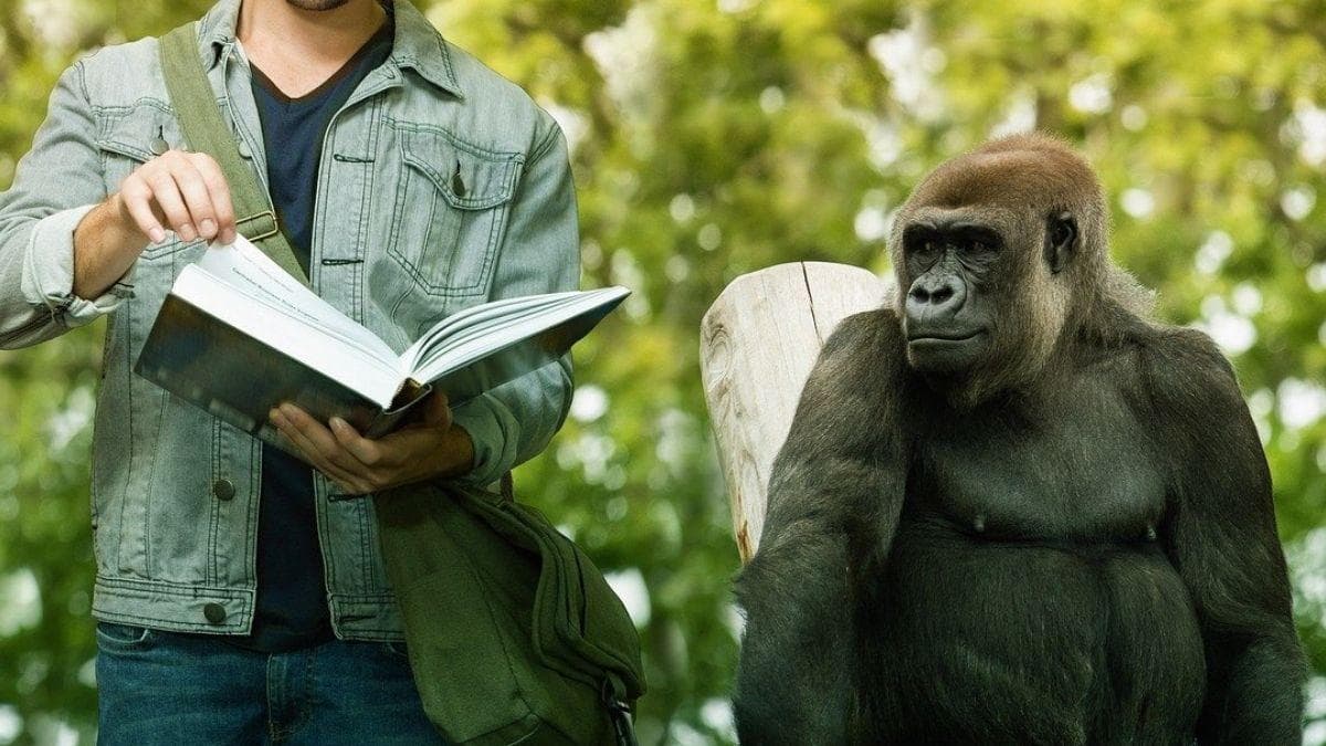 MAI PIÙ SENZA SOFT SKILLS !!! MAI PIÙ SENZA SOFT SKILLS !!!