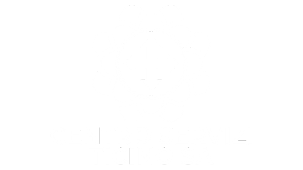 centro-servizi-ticino-sa.png