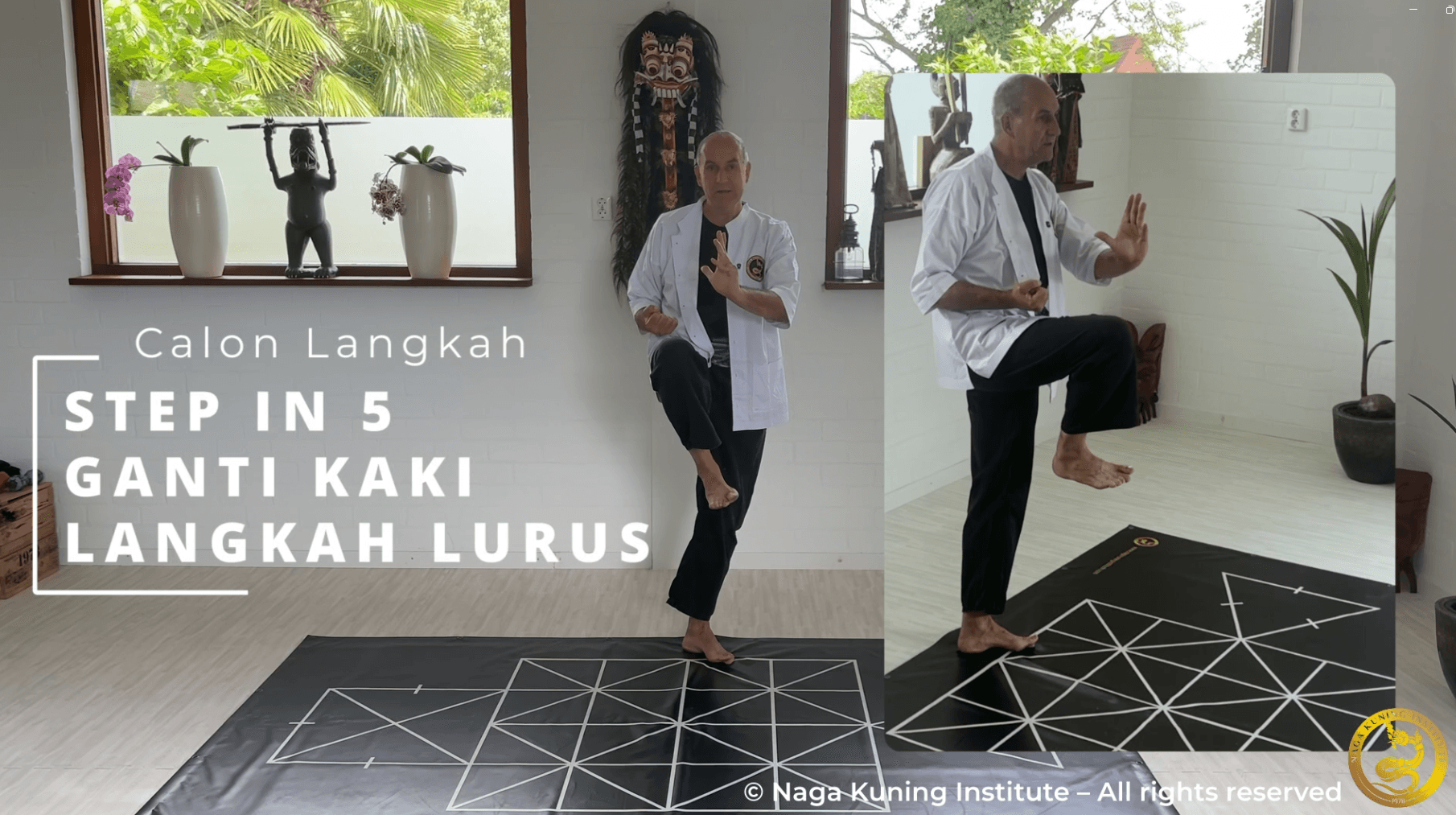 Lezioni Online di Silat Lezioni Online di Silat