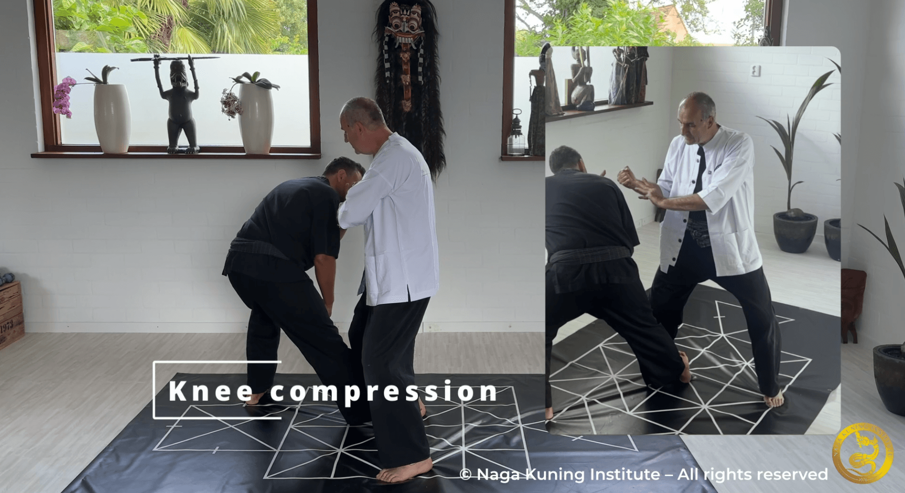 Lezioni Online di Silat Lezioni Online di Silat