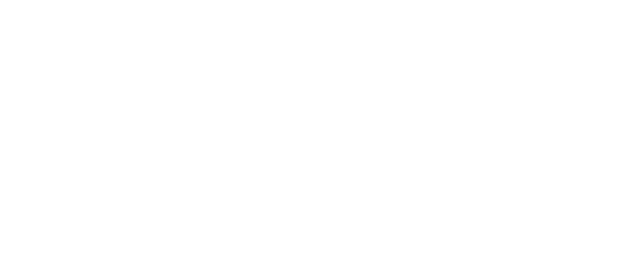 Neveplast Artifiical ski slope Manufacturer of artificial solutions for skiing and recreation