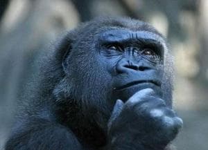 L'Anima gemella Esiste?