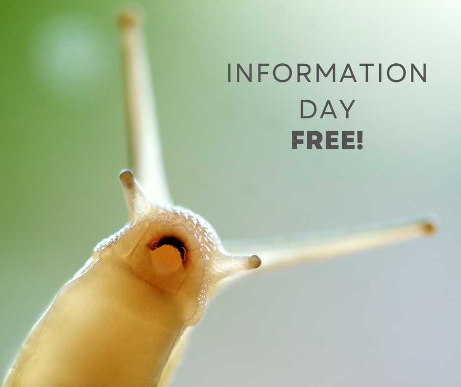 Diventa elicicoltore | Giornata Informativa Gratuita Diventa elicicoltore | Giornata Informativa Gratuita