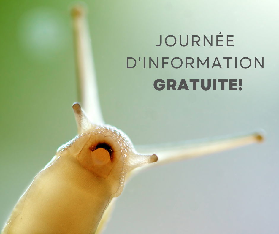 Diventa elicicoltore | Giornata Informativa Gratuita Diventa elicicoltore | Giornata Informativa Gratuita