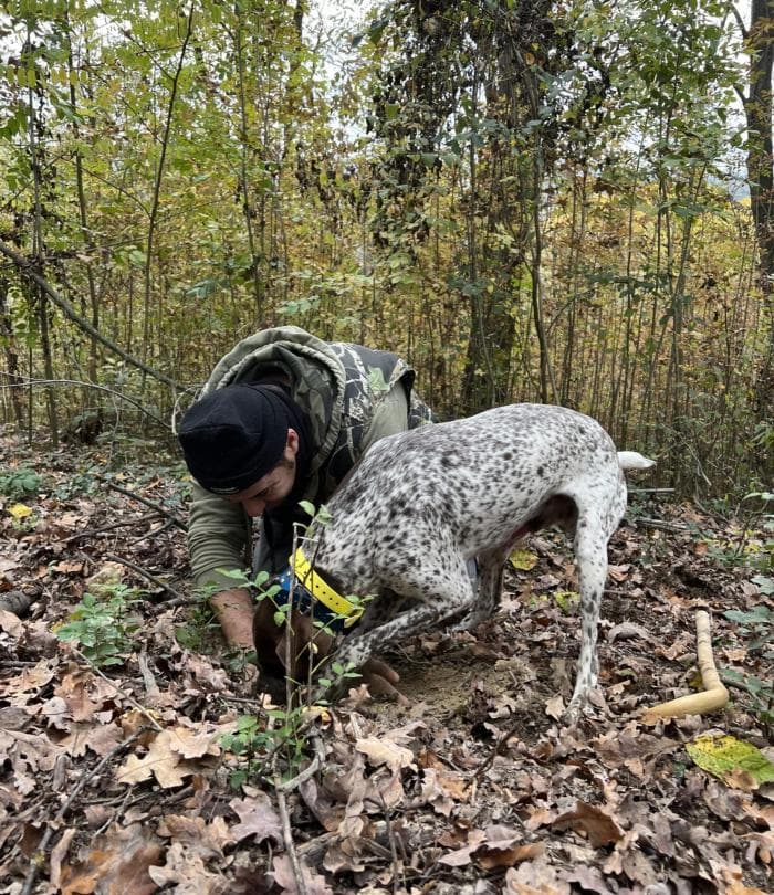 cane-4.jpg