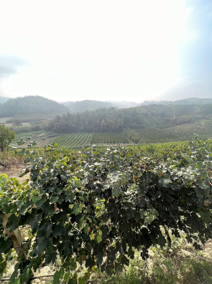 vista-esterna-4.jpg
