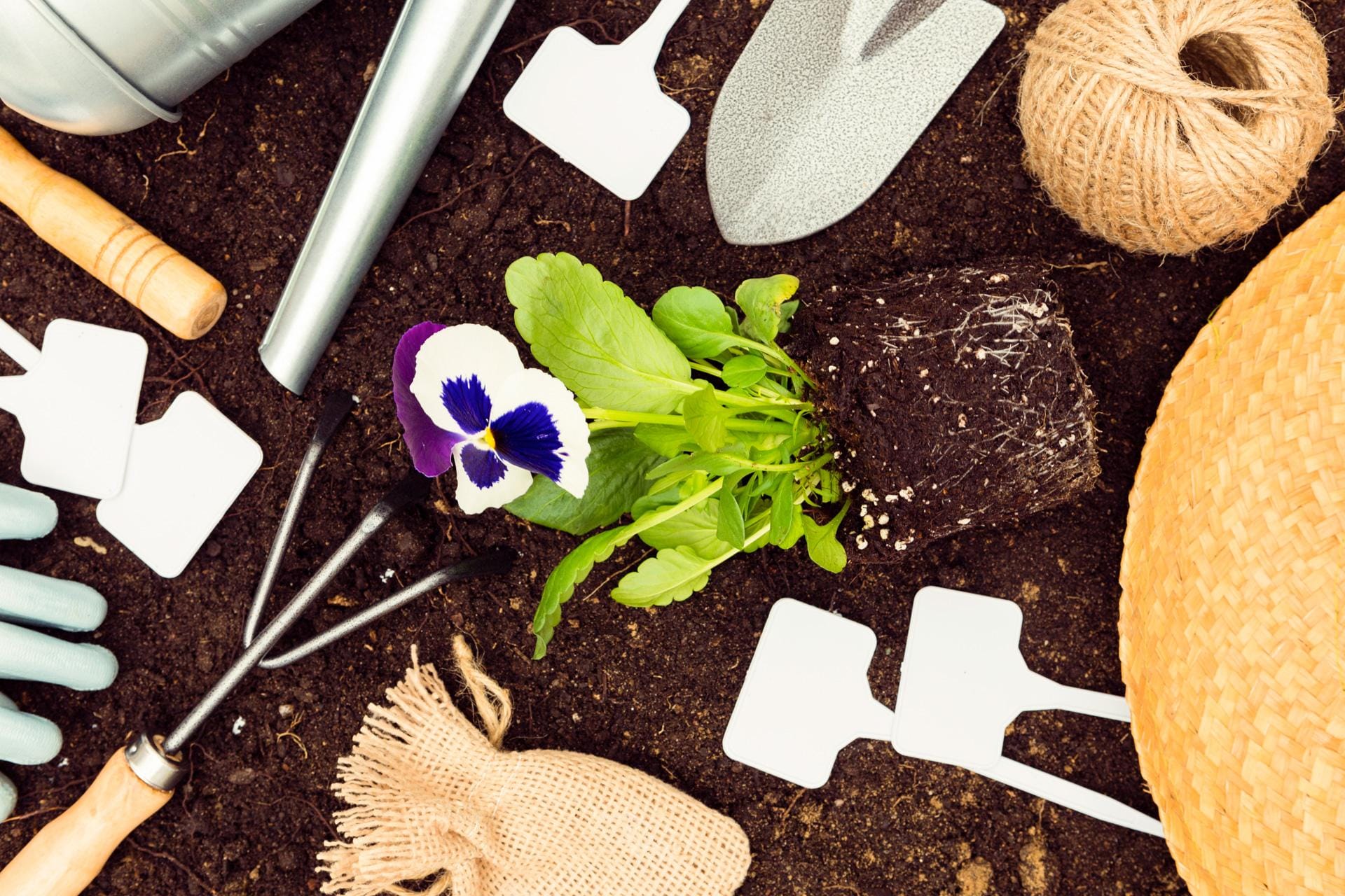 top-view-gardening-tools-plants-soil.jpg