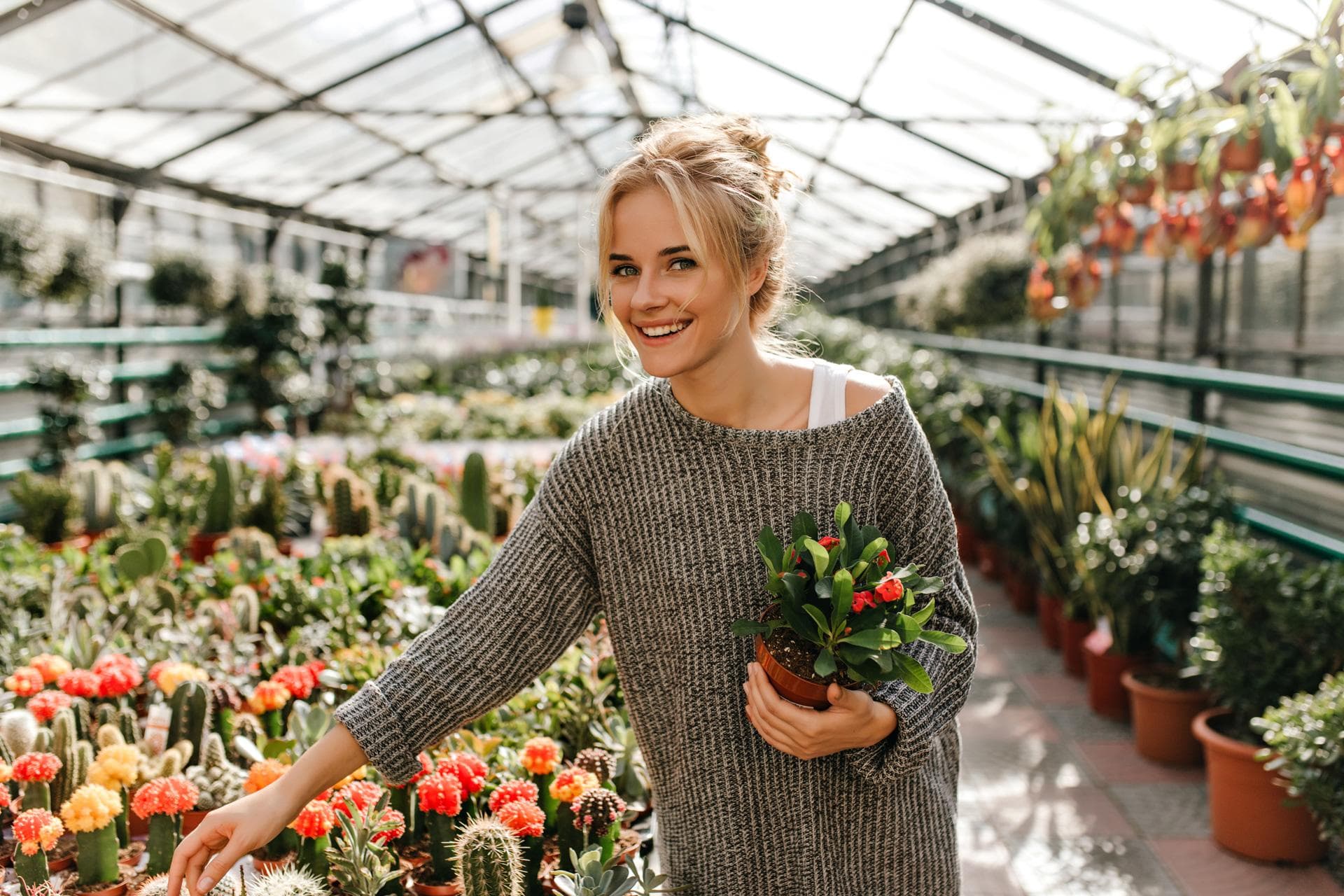 snapshot-cheerful-woman-oversized-knitted-dress-choosing-cactus-plant-shop.jpg