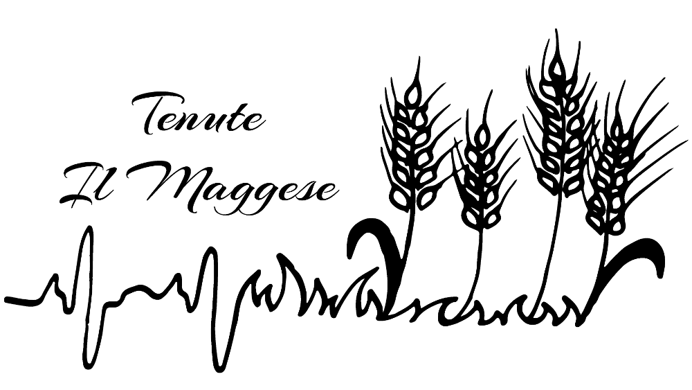 logo-maggese-separato-bw-2160.png