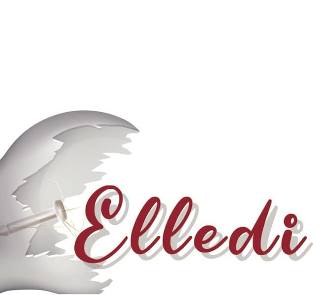 Vedi scheda completa - Elledi Elettroforniture <p><strong>Rivenditore Autorizzato<br /></strong><strong>Titolare:</strong> Demetrio di Nardo<br /><strong>Focus:</strong> Fornitura essenziale per impianti TV.<br /><strong>Offerta:</strong> Amplificatori da palo e Alimentatori stabilizzati.</p>