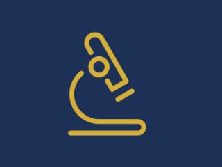 Forniture PRE-Amplificatori da Palo - Elettronica Cusano PRE-Amplificatori da Palo Forniture professionali