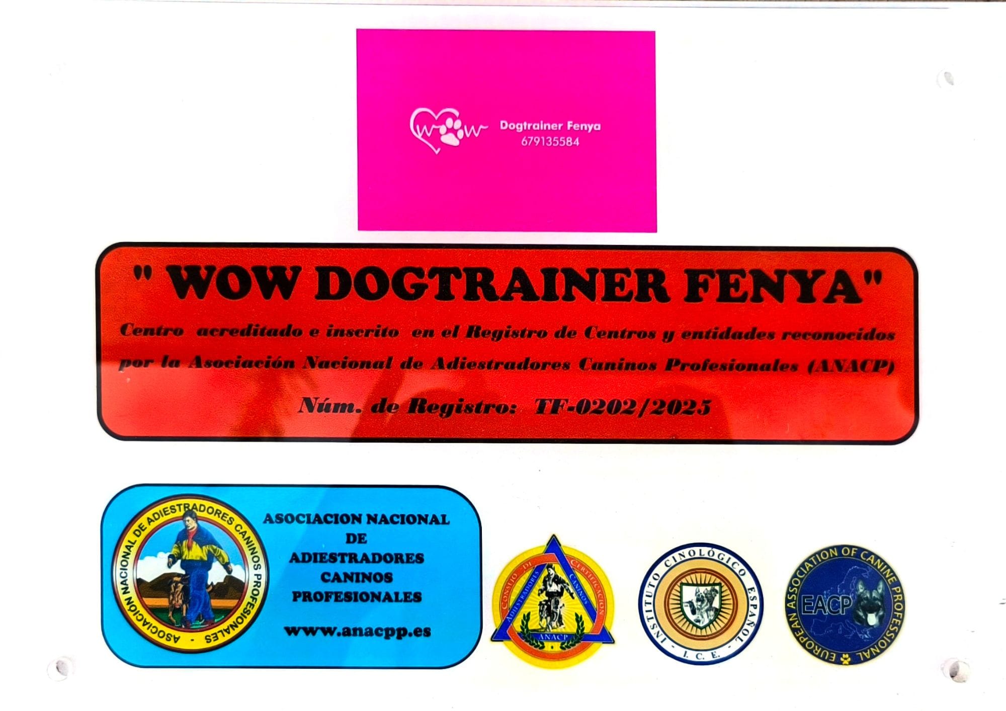 cursos-de-formacion-wow-dogtrainer-fenya-18.jpg