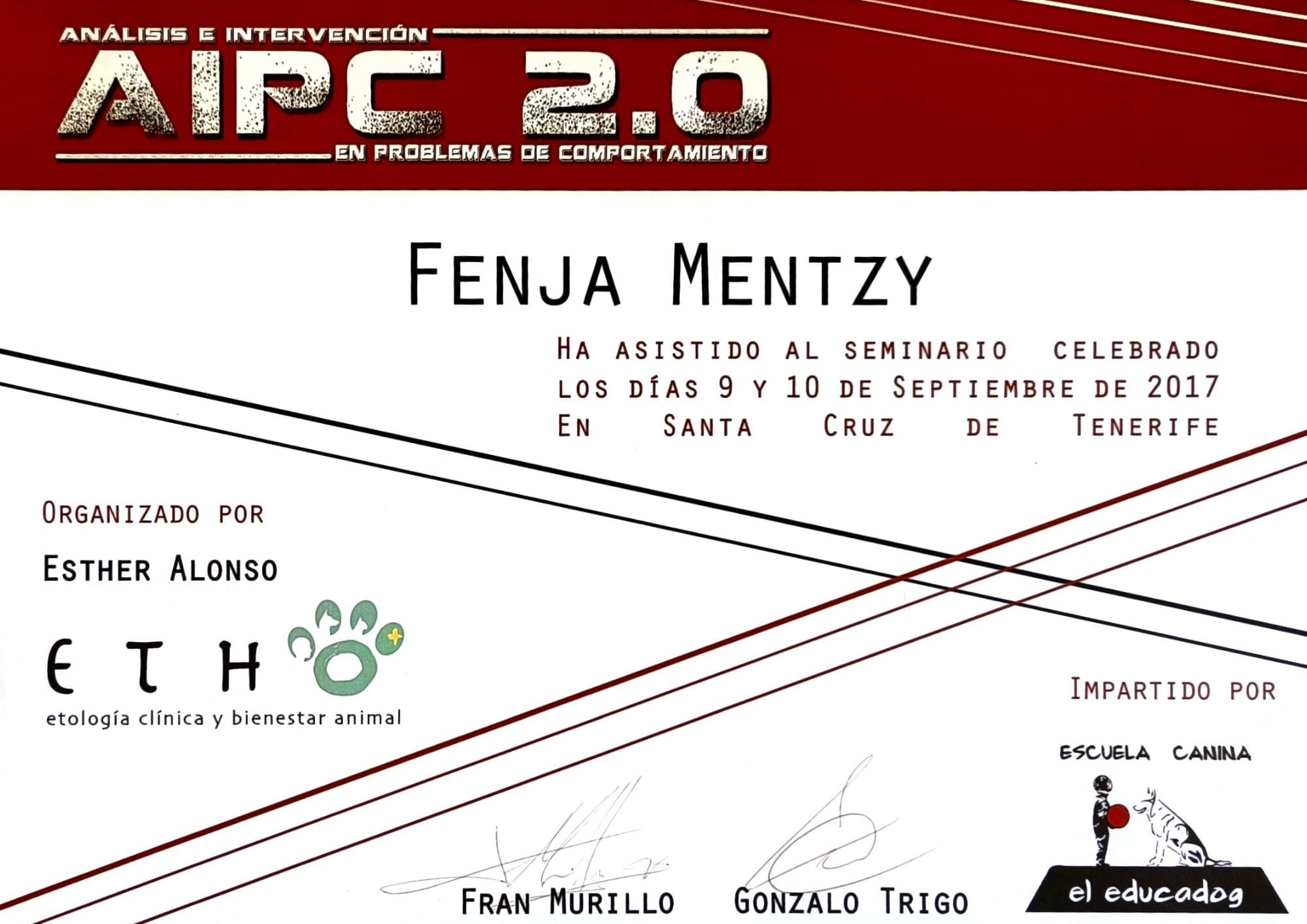 cursos-de-formacion-wow-dogtrainer-fenya-6.jpg