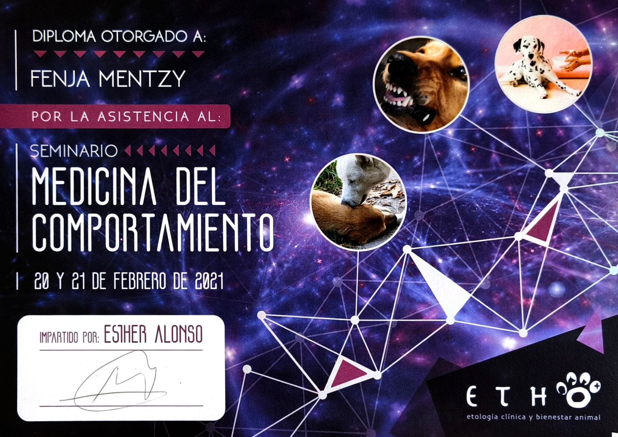 cursos-de-formacion-wow-dogtrainer-fenya-7.jpg