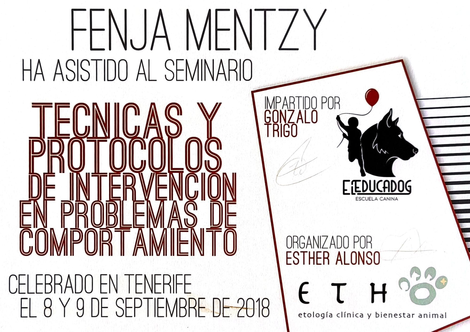 cursos-de-formacion-wow-dogtrainer-fenya-9.jpg