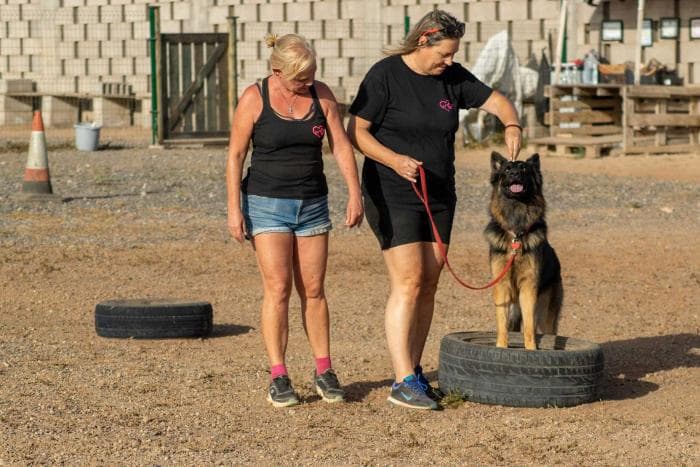 7-gallery-home-footer-wow-dogtrainer-fenya.jpg
