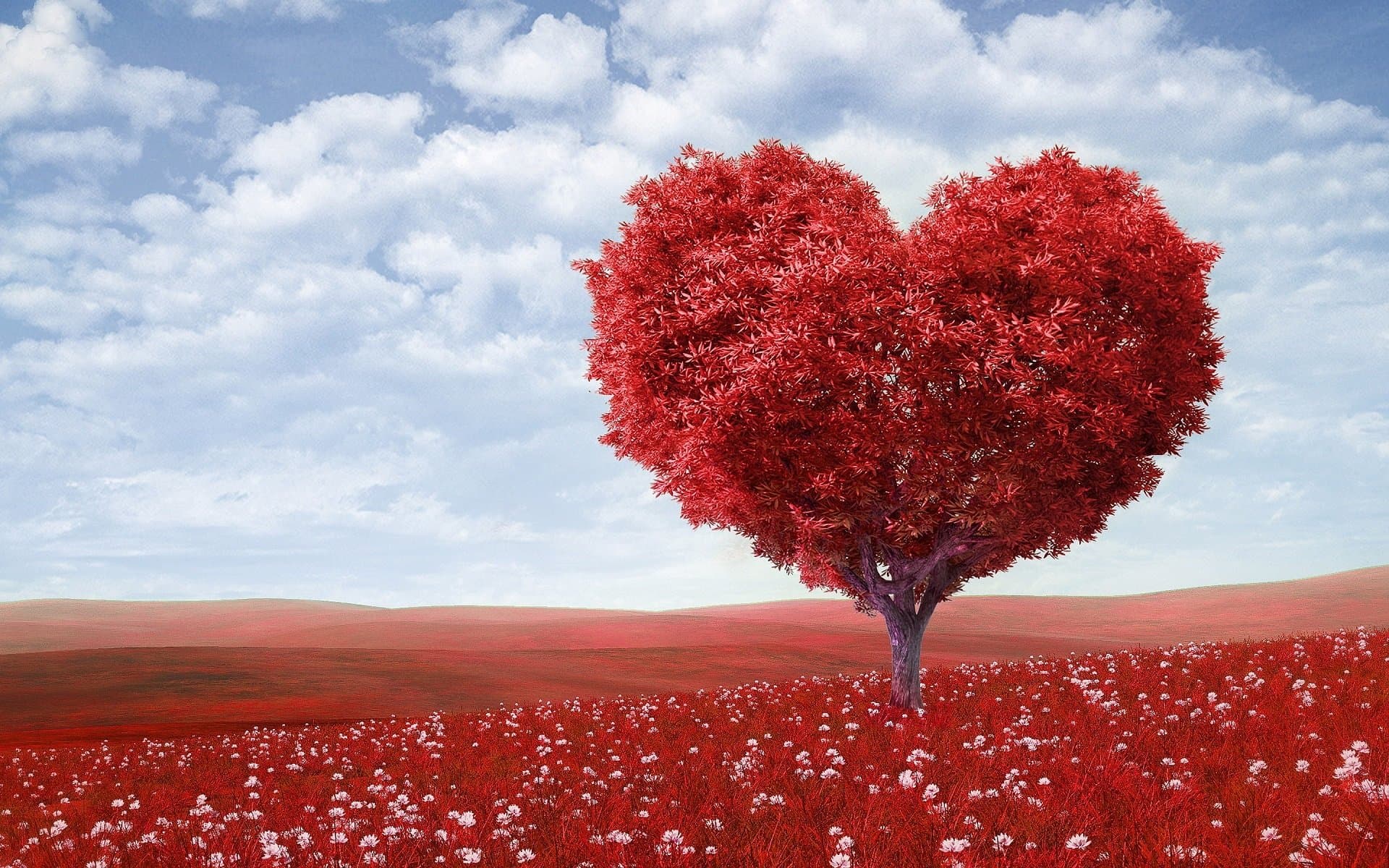 L’AMORE e il corona virus L’AMORE e il corona virus