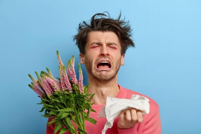 Allergie metodi naturali: 10 consigli per il trattamento Allergie metodi naturali: 10 consigli per il trattamento