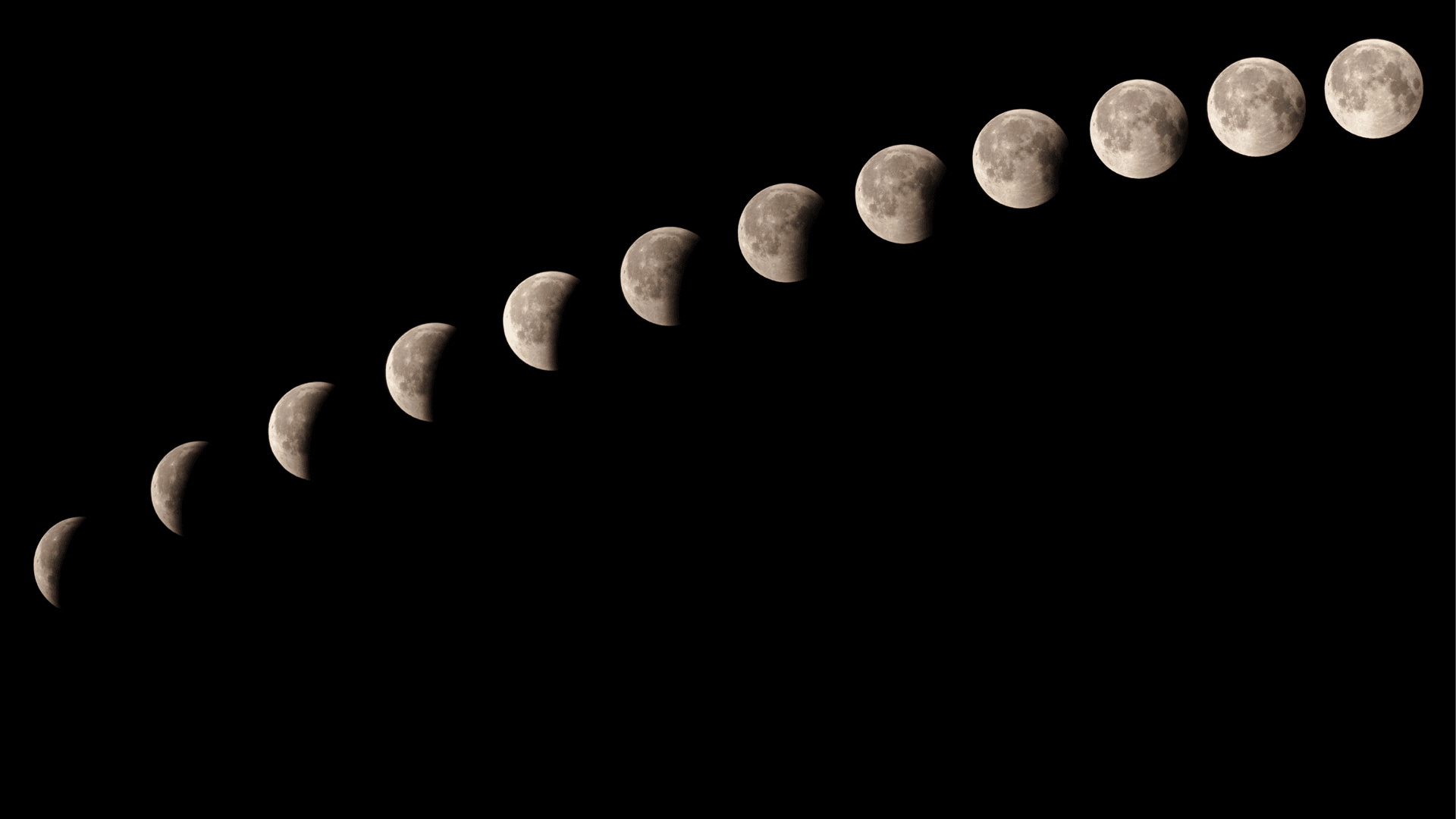 Yoga della Luna, il Tuo Viaggio Ciclico Yoga della Luna, il Tuo Viaggio Ciclico