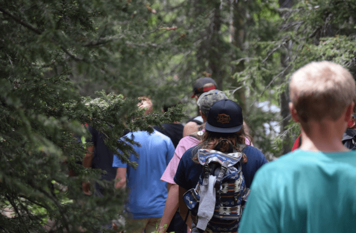 Bambini che fanno una gita nel bosco, come si dicono i nomi degli alberi in inglese