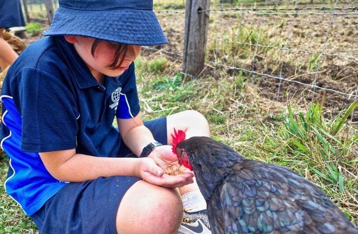 bambino che dà da mangiare a una gallina nera, che pronome usare per gli animali in inglese