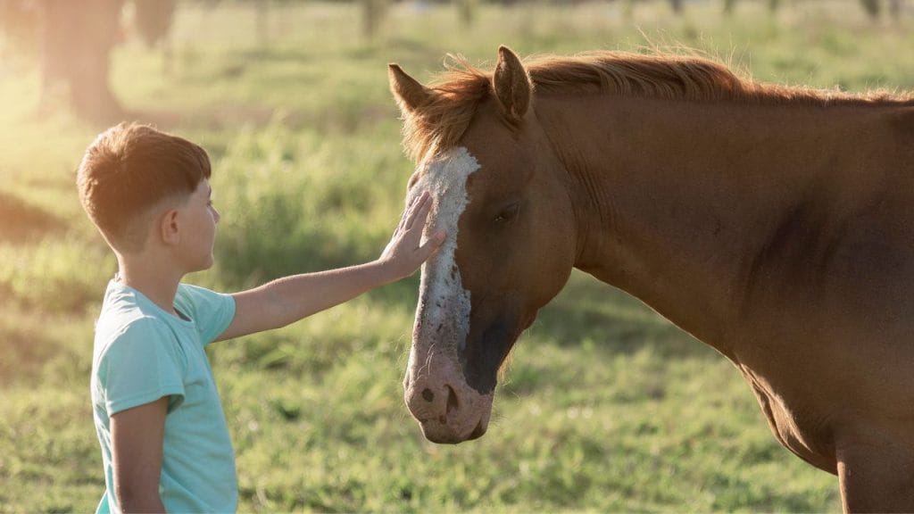 ragazzino che accarezza il muso di un cavallo, canzoncine in inglese sugli animali