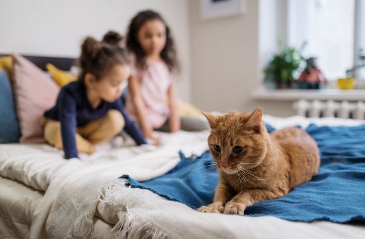 gatto rosso sul letto in secondo pino due bambine giocano, come si dice gatto in inglese