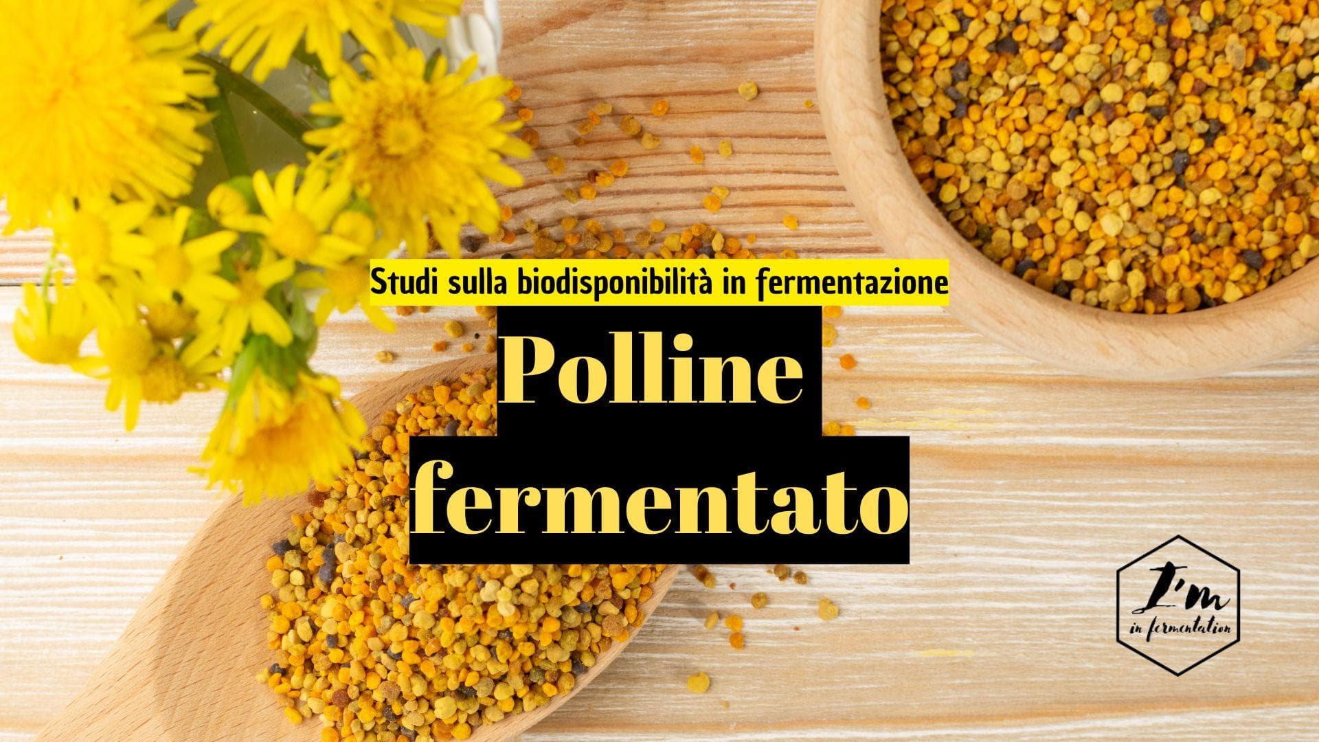 Nutraceutica: come la fermentazione migliora la biodisponibilità del polline. Nutraceutica: come la fermentazione migliora la biodisponibilità del polline.