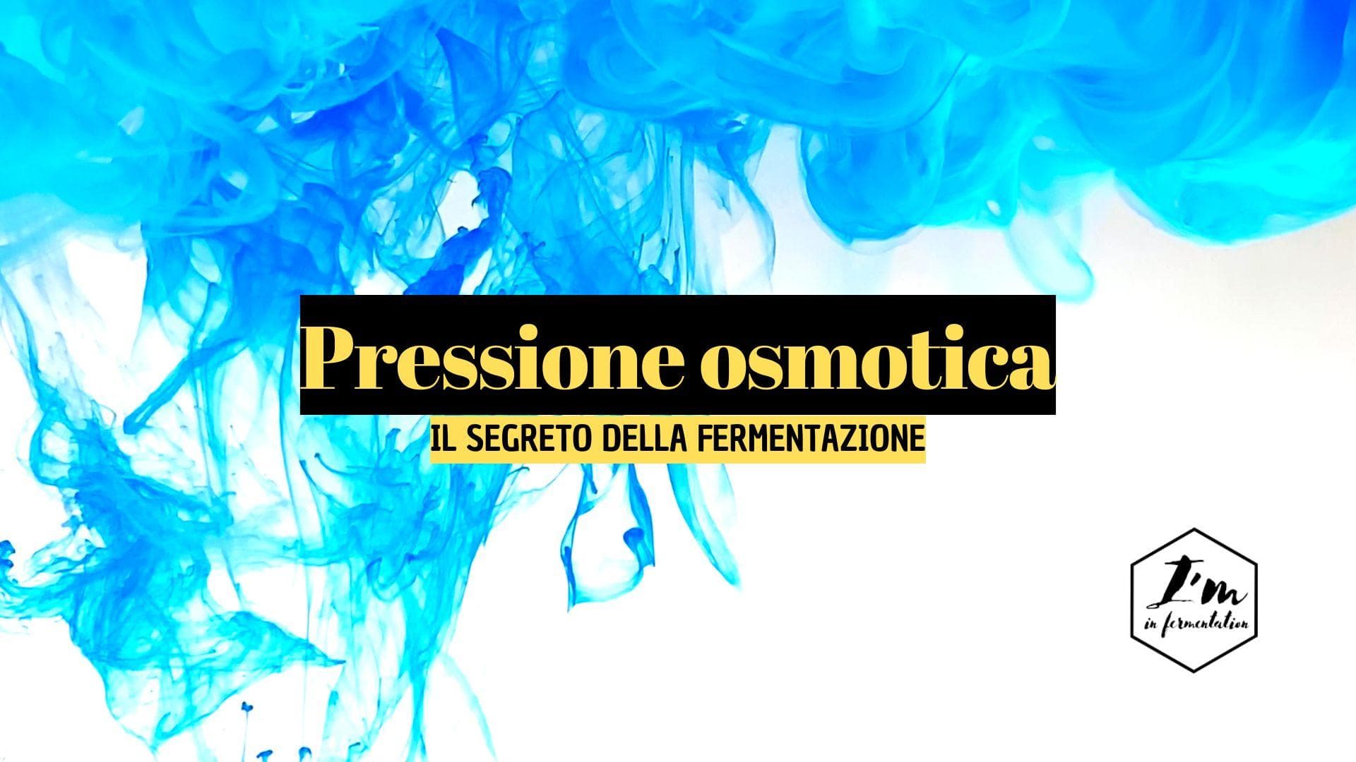 Pressione Osmotica: Cos'è, Come Funziona e il Suo Ruolo nelle Fermentazioni Pressione Osmotica: Cos'è, Come Funziona e il Suo Ruolo nelle Fermentazioni