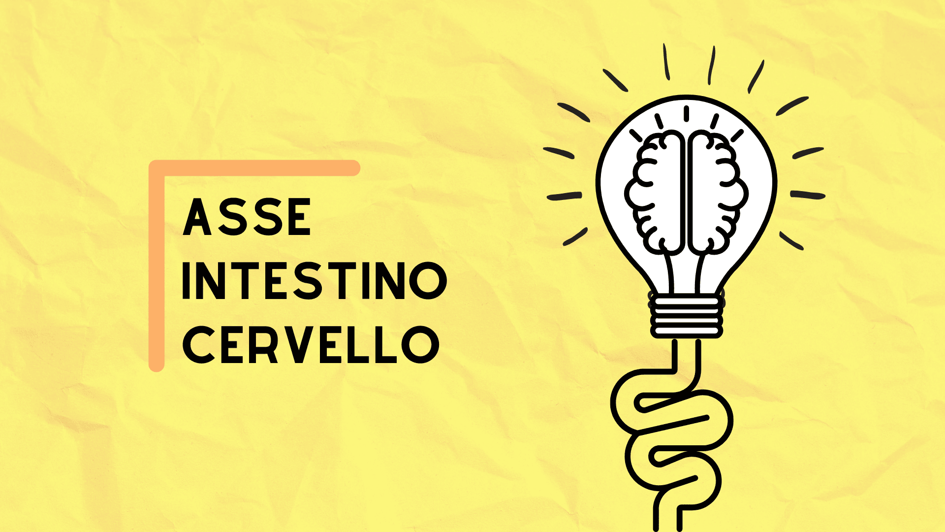 Alimenti fermentati e salute mentale: cosa sappiamo davvero sull’asse intestino-cervello Alimenti fermentati e salute mentale: cosa sappiamo davvero sull’asse intestino-cervello