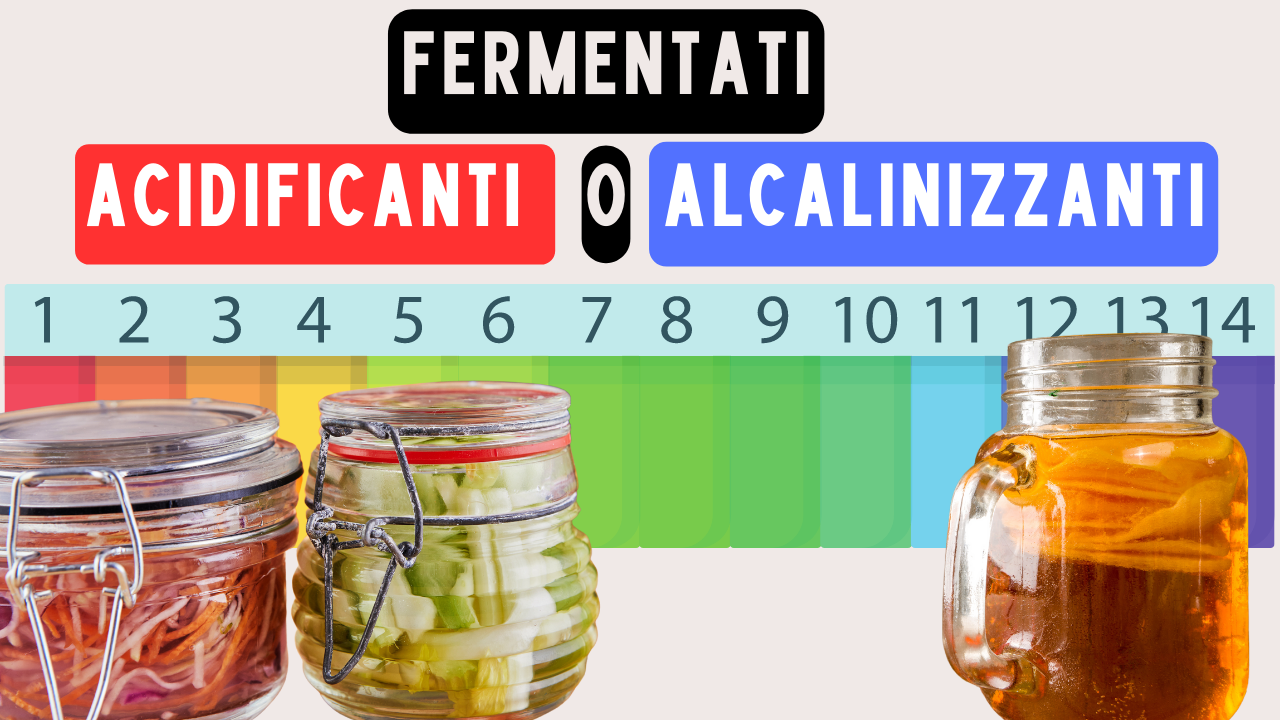 Cibi acidi o alcalini? Scopri come i fermentati riequilibrano il pH Cibi acidi o alcalini? Scopri come i fermentati riequilibrano il pH
