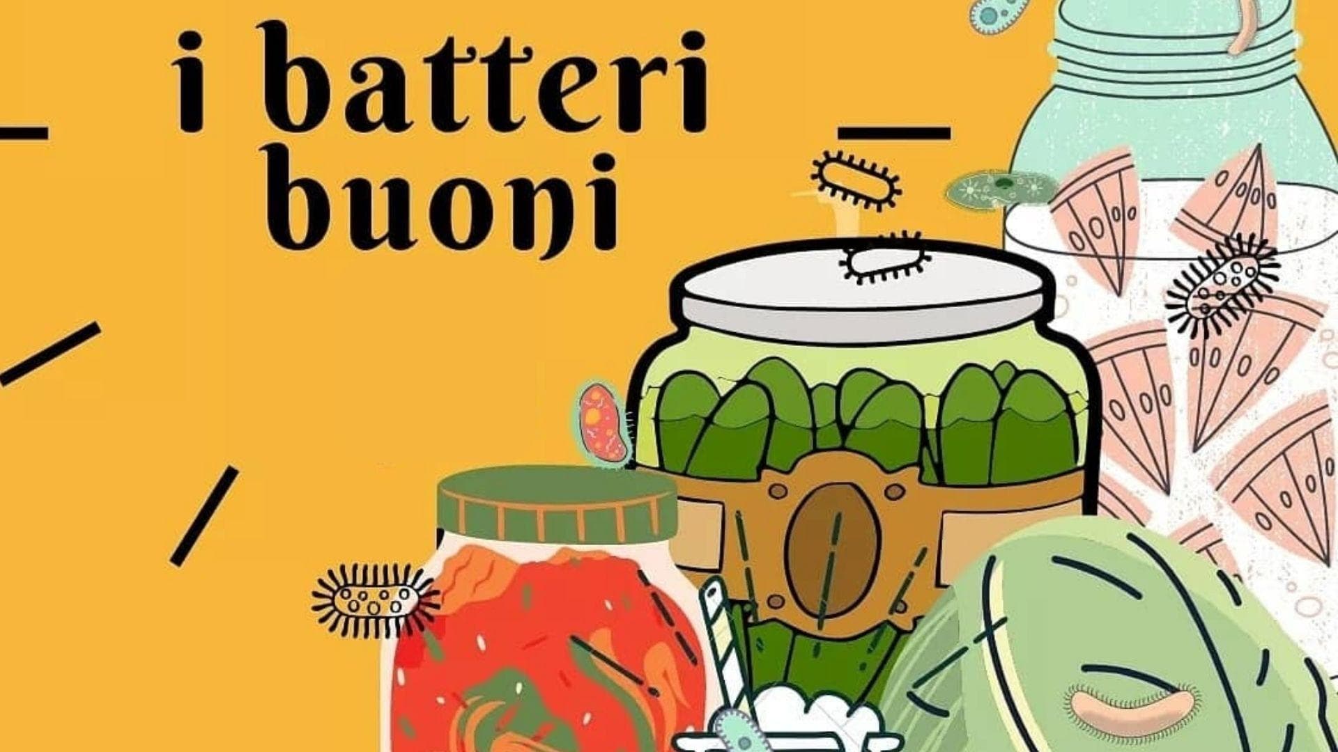 Benefici Reali dei Cibi Fermentati per la Salute, una guida completa Benefici Reali dei Cibi Fermentati per la Salute, una guida completa