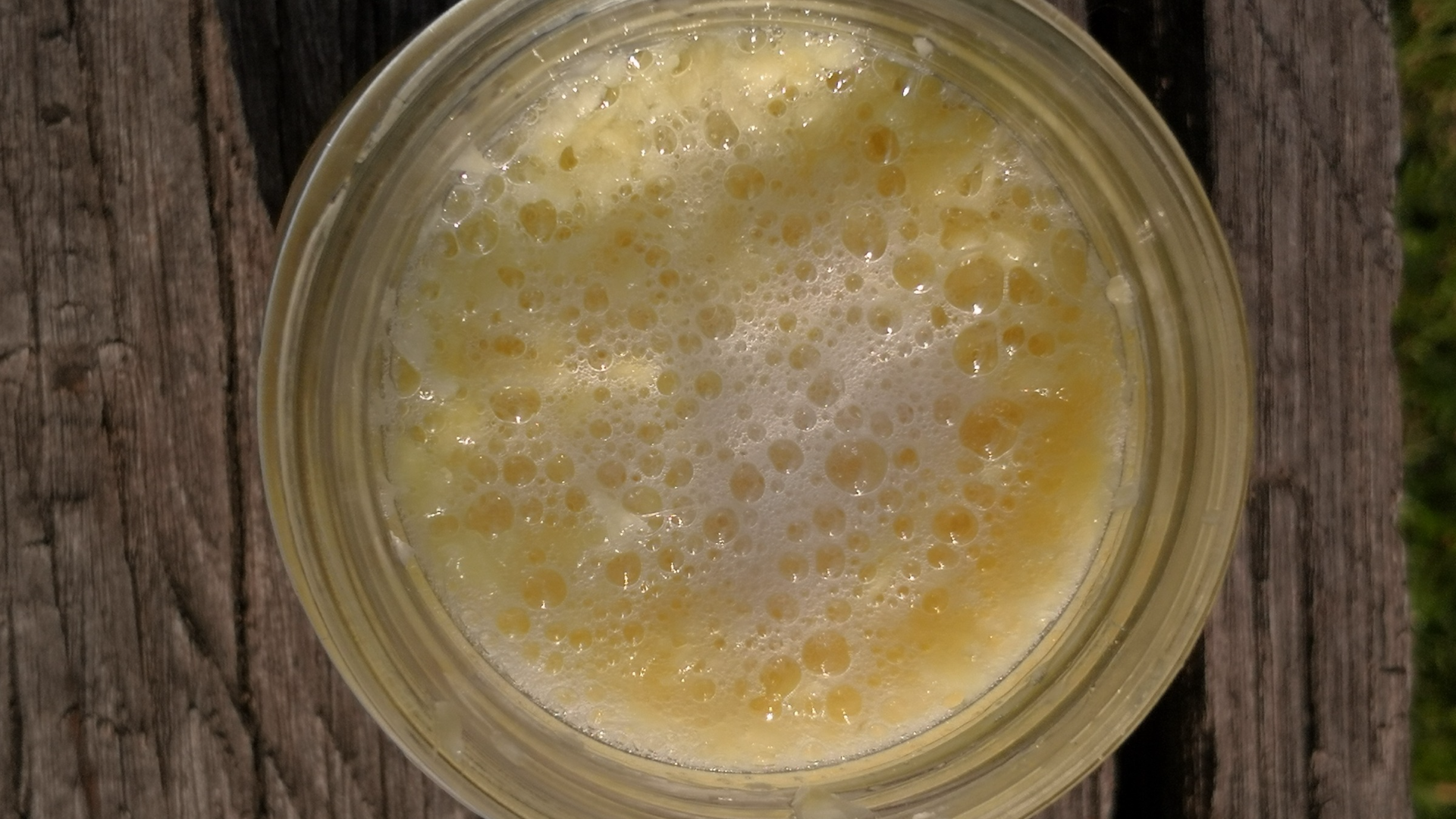 Ginger Bug: ricetta, rinfreschi e usi per bevande fermentate Ginger Bug: ricetta, rinfreschi e usi per bevande fermentate