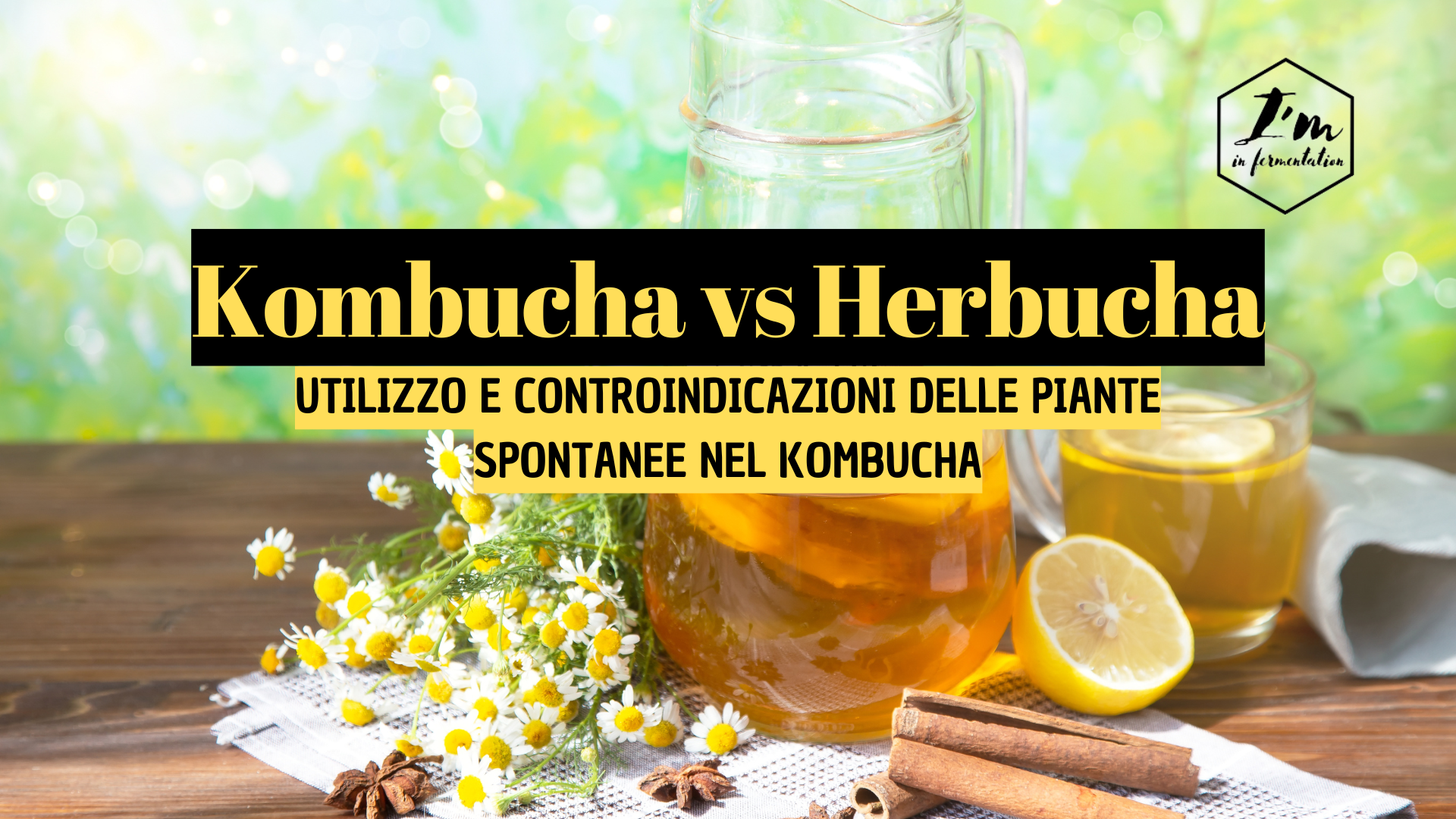 Kombucha ed Herbucha: come scegliere erbe e tè nella fermentazione Kombucha ed Herbucha: come scegliere erbe e tè nella fermentazione
