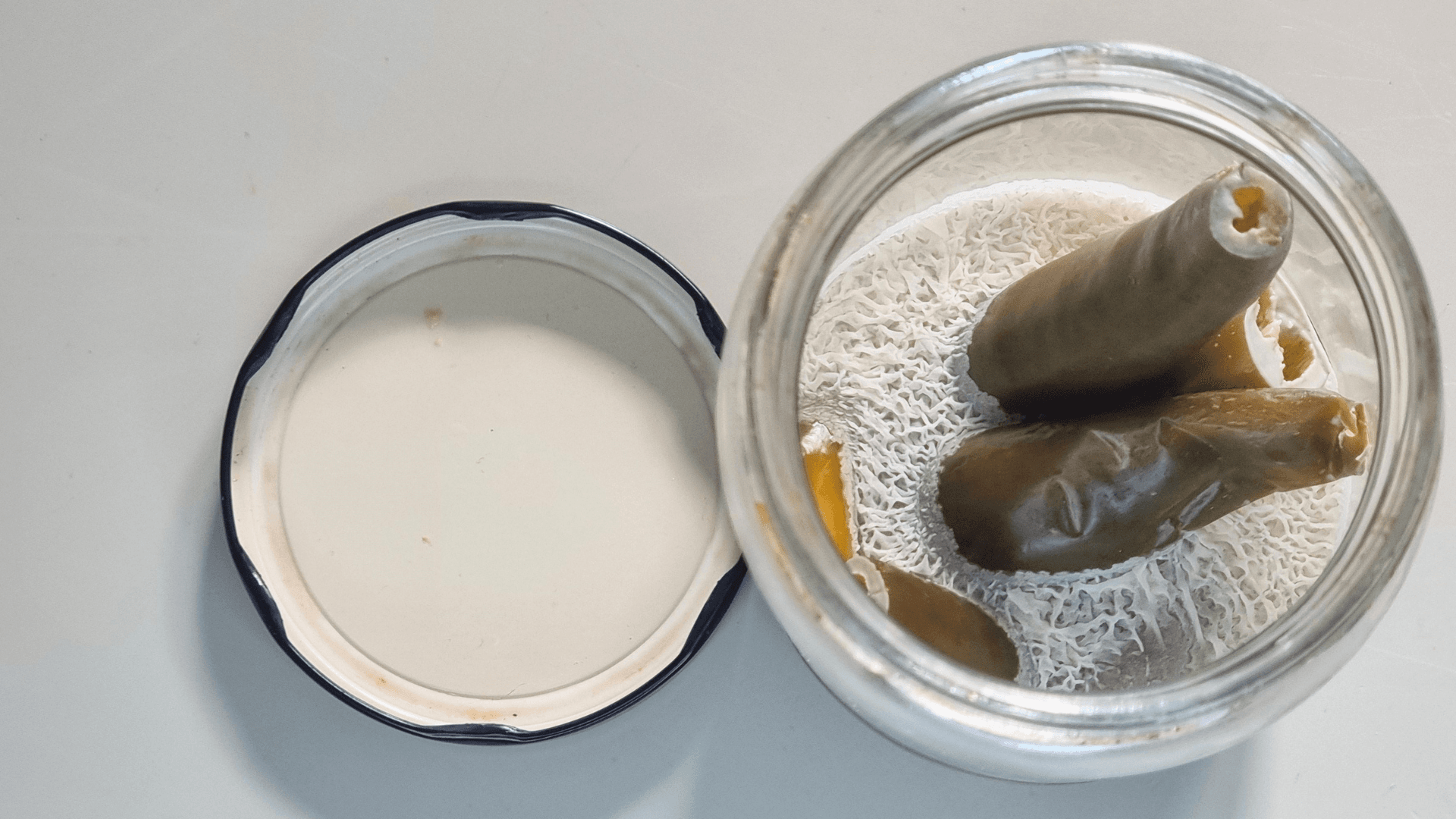 lievito-kahm-e-fermentati.png lievito-kahm-e-fermentati.png