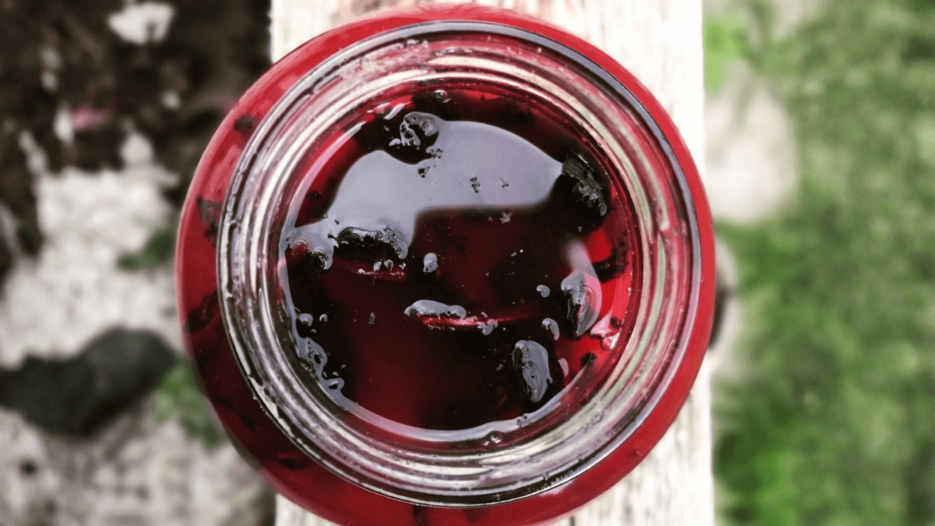 Frutta fermentata: guida pratica per fermentare fragole, ciliegie e frutta estiva Frutta fermentata: guida pratica per fermentare fragole, ciliegie e frutta estiva