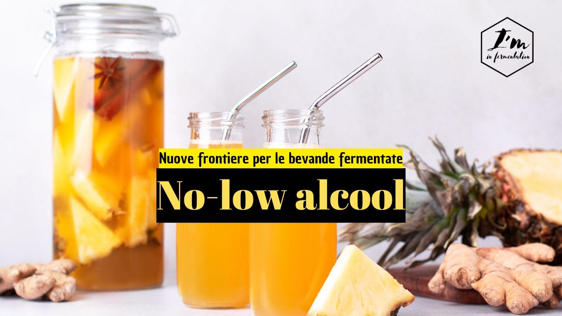 Bevande Fermentate No-low alcol: Tendenze, Benefici e Innovazioni nel 2024 Bevande Fermentate No-low alcol: Tendenze, Benefici e Innovazioni nel 2024