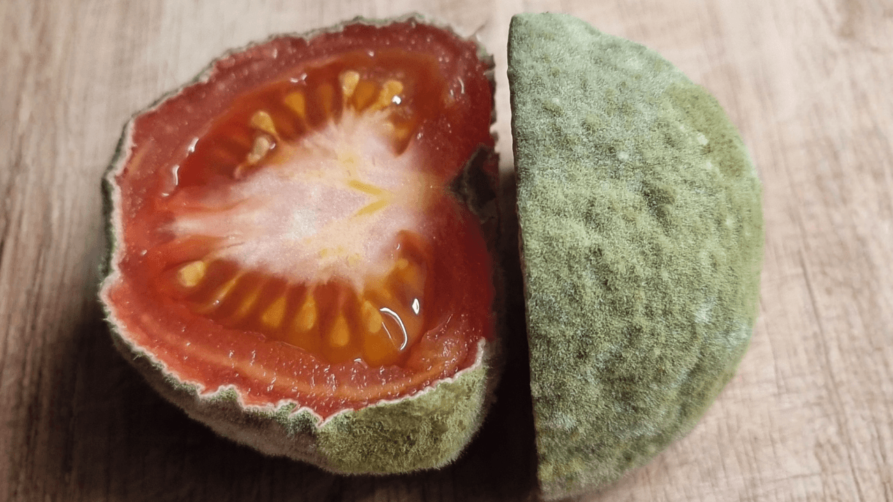 Charcuterie Vegetale: pomodoro al koji Charcuterie Vegetale: pomodoro al koji
