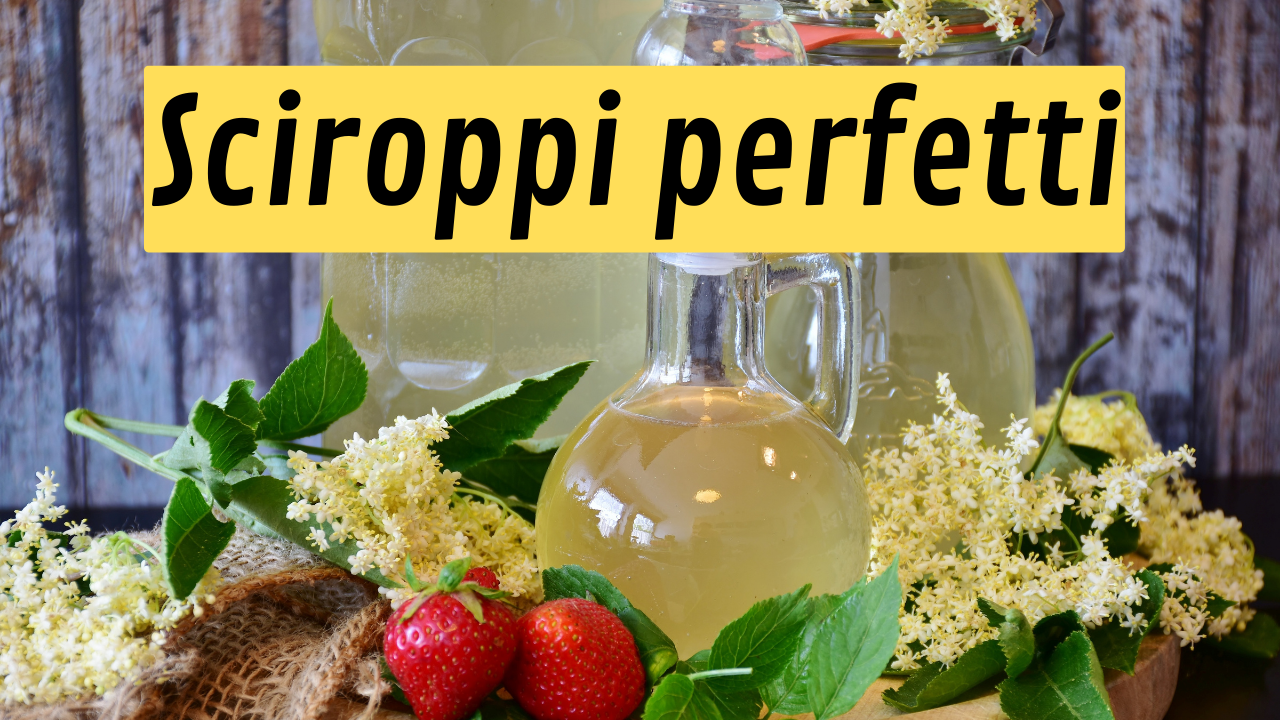 Sciroppi di erbe e fiori: guida pratica, tecniche e ricette Sciroppi di erbe e fiori: guida pratica, tecniche e ricette
