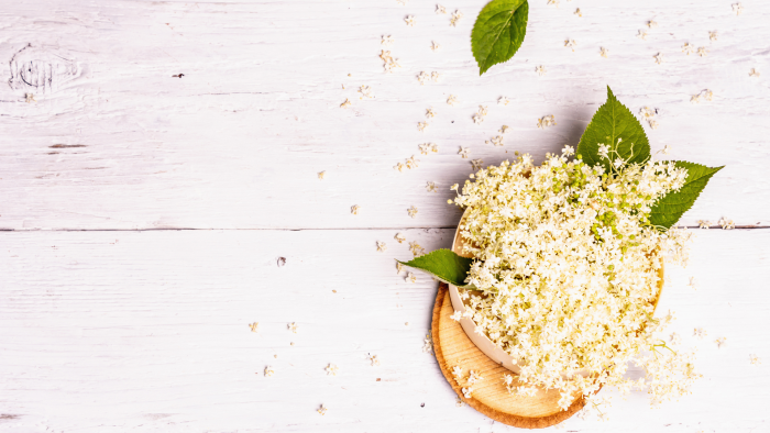 Immagine articolo Blog Immagine articolo Blog