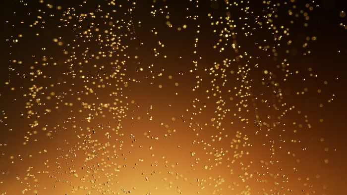 Immagine articolo Blog Immagine articolo Blog