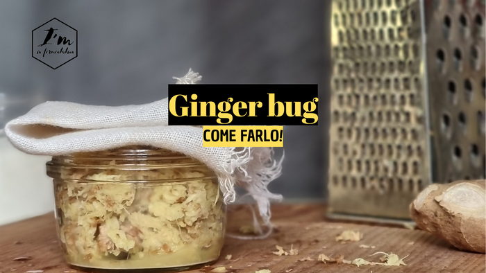 Immagine articolo Blog Immagine articolo Blog