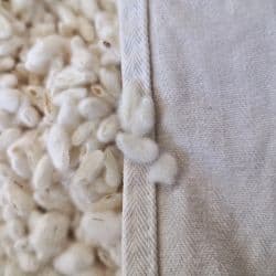 Immagine articolo Blog Immagine articolo Blog