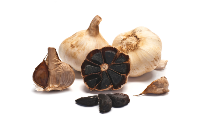 Immagine articolo Blog Immagine articolo Blog