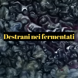 Immagine articolo Blog Immagine articolo Blog